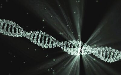 DNA Computing vs Quantum Computing: Mana Yang Lebih Unggul?