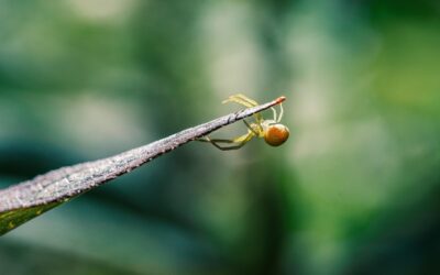 Mengapa DNA Lebih Efisien untuk Komputasi Paralel?