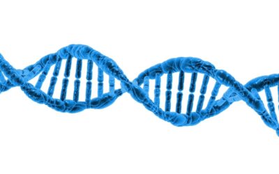 DNA Computing