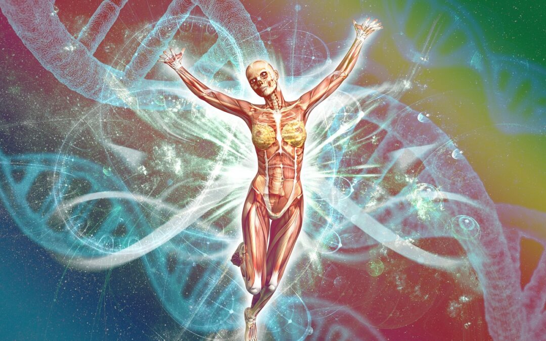 Langkah-Langkah Pembuatan Komputer Berbasis DNA